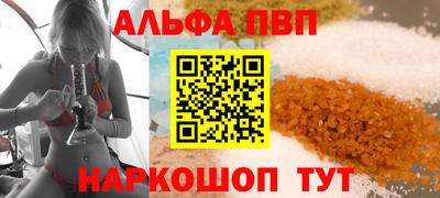 индика Сланцы