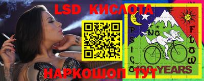 индика Сланцы