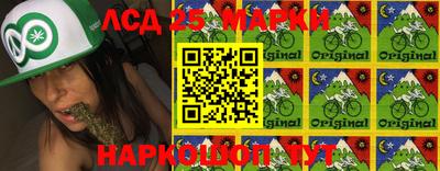 индика Сланцы