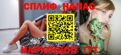 индика Сланцы