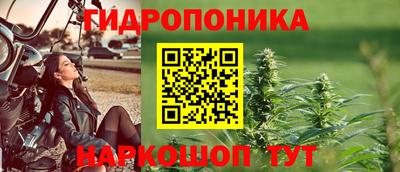 круглые Славгород