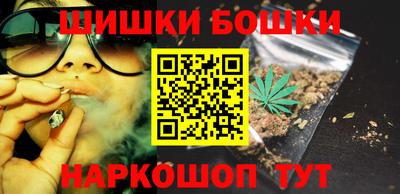 индика Сланцы