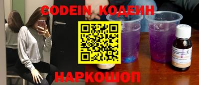 индика Сланцы