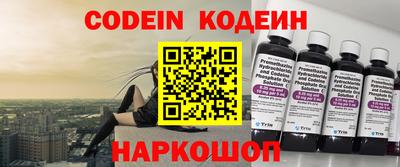 индика Сланцы