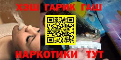 индика Сланцы