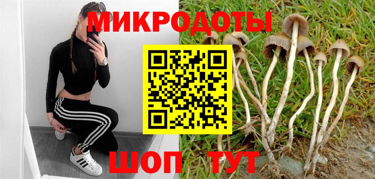 Галлюциногенные грибы GOLDEN TEACHER Рассказово