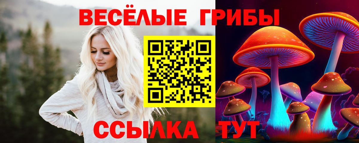 ГАШ Рассказово