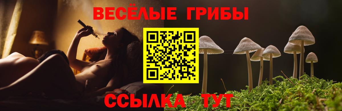 Галлюциногенные грибы ЛСД  Галлюциногенные грибы GOLDEN TEACHER  Вход с VPN  Рассказово 